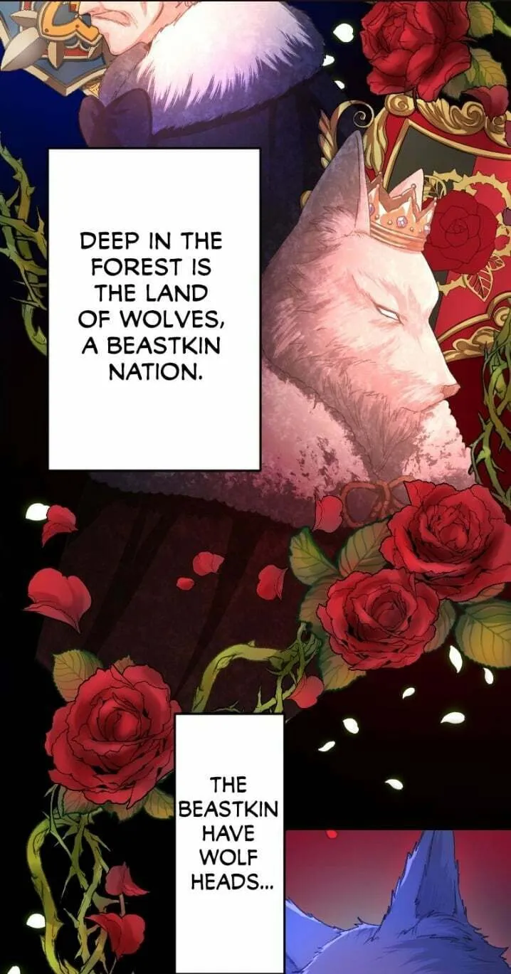 Sacrificed to Be the Beast King's Bride Chapter 1 page 20 - 