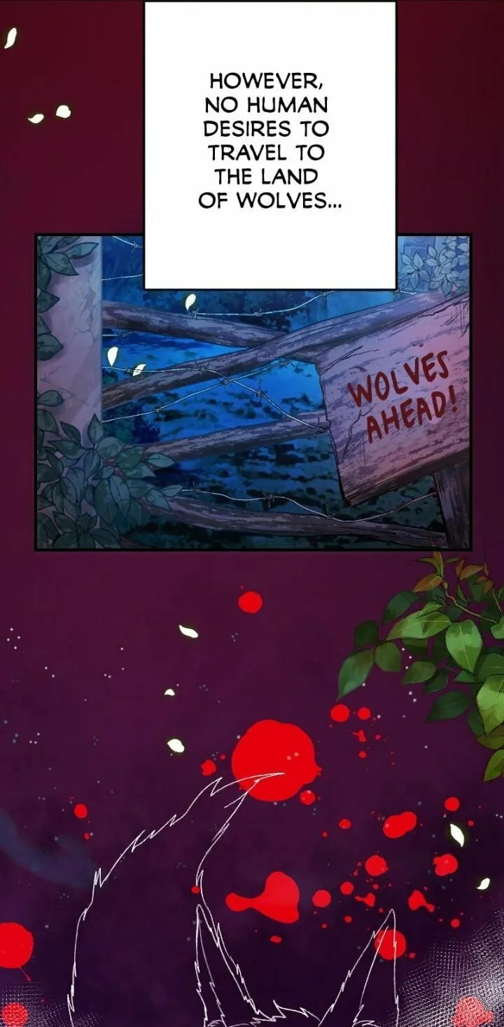 Sacrificed to Be the Beast King's Bride Chapter 1 page 24 - 