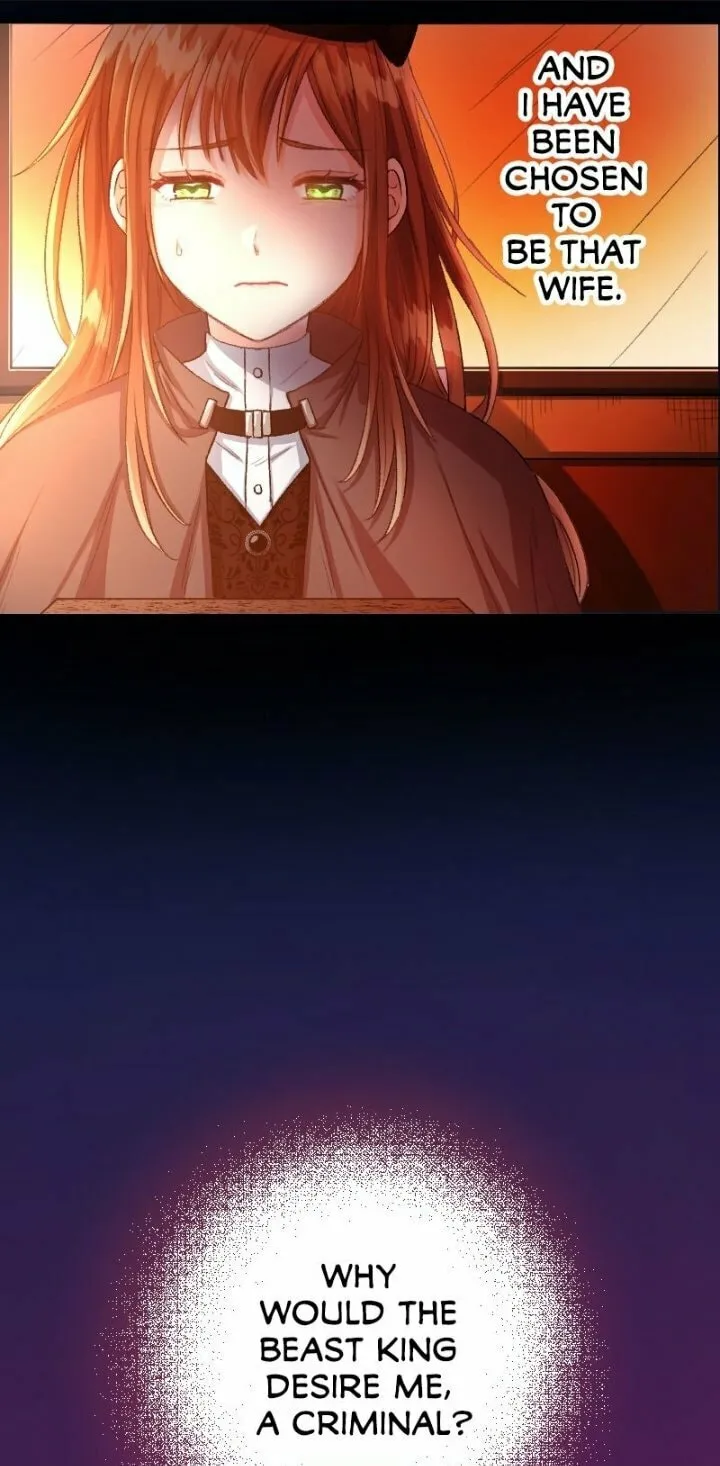 Sacrificed to Be the Beast King's Bride Chapter 1 page 27 - 