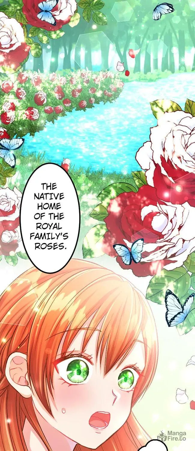 Sacrificed to Be the Beast King's Bride Chapter 10 page 55 - 