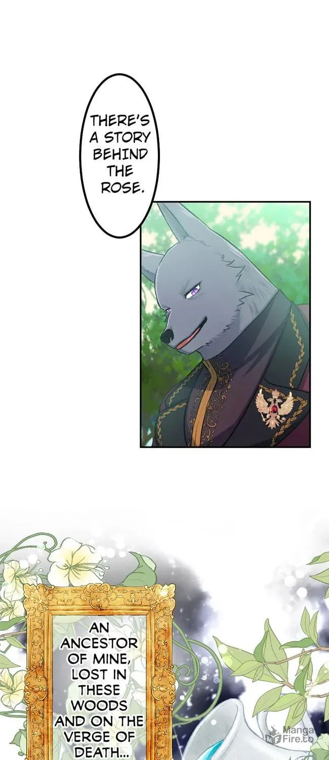 Sacrificed to Be the Beast King's Bride Chapter 10 page 57 - 