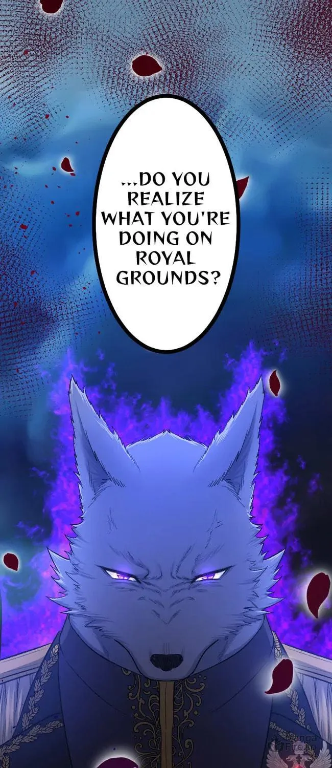 Sacrificed to Be the Beast King's Bride Chapter 11 page 27 - 