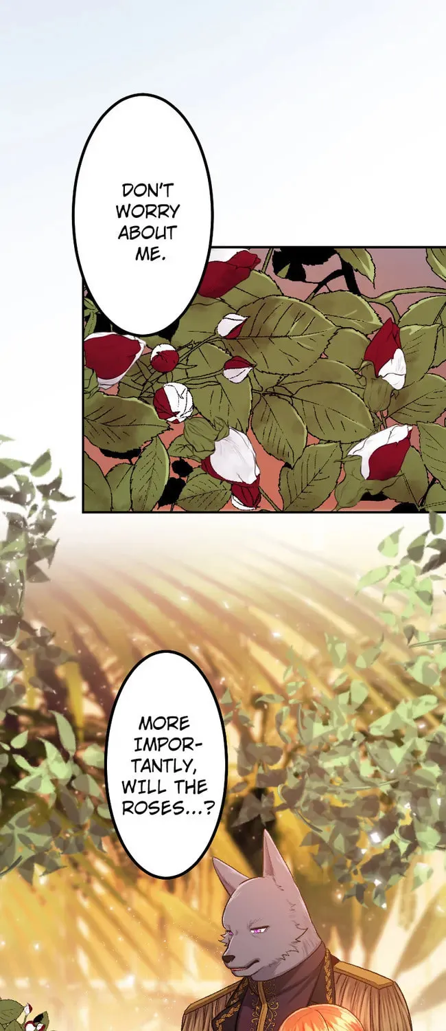 Sacrificed to Be the Beast King's Bride Chapter 11 page 43 - 