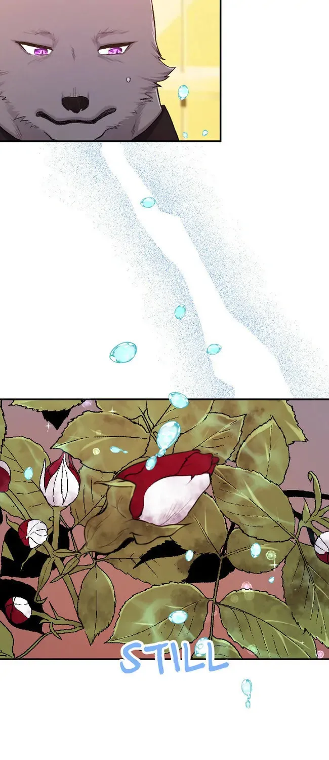 Sacrificed to Be the Beast King's Bride Chapter 11 page 47 - 