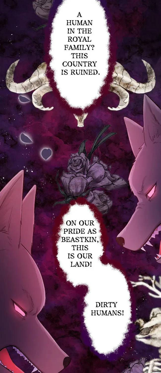 Sacrificed to Be the Beast King's Bride Chapter 13 page 23 - 