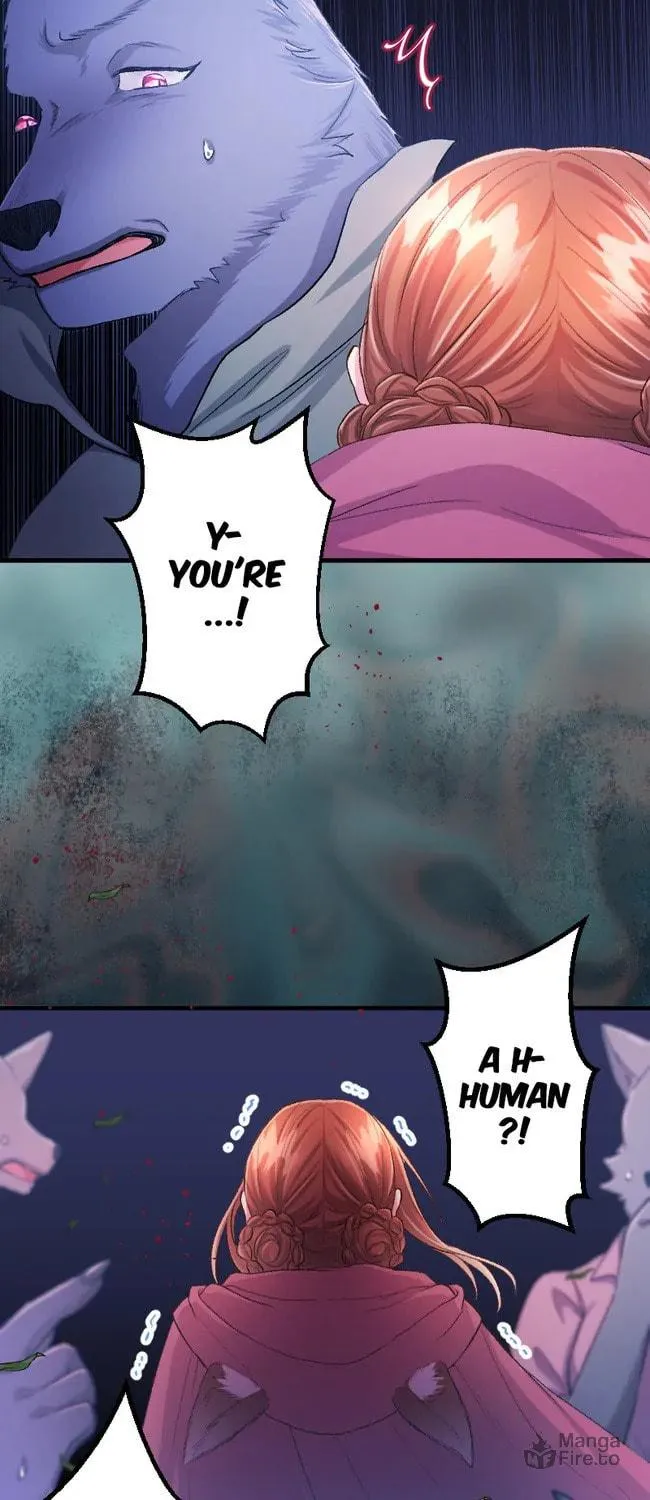 Sacrificed to Be the Beast King's Bride Chapter 13 page 40 - 