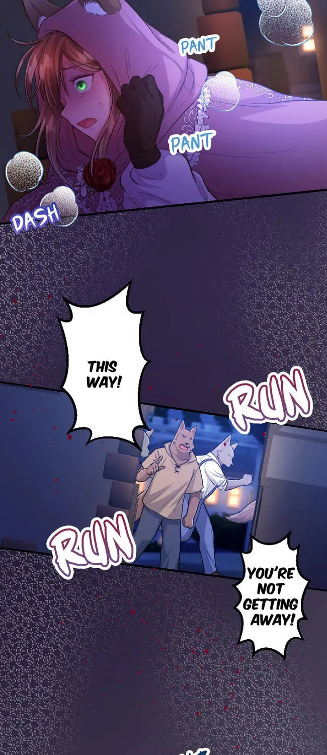 Sacrificed to Be the Beast King's Bride Chapter 13 page 53 - 