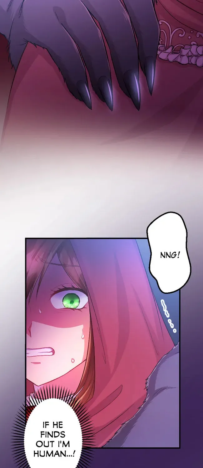 Sacrificed to Be the Beast King's Bride Chapter 13 page 8 - 