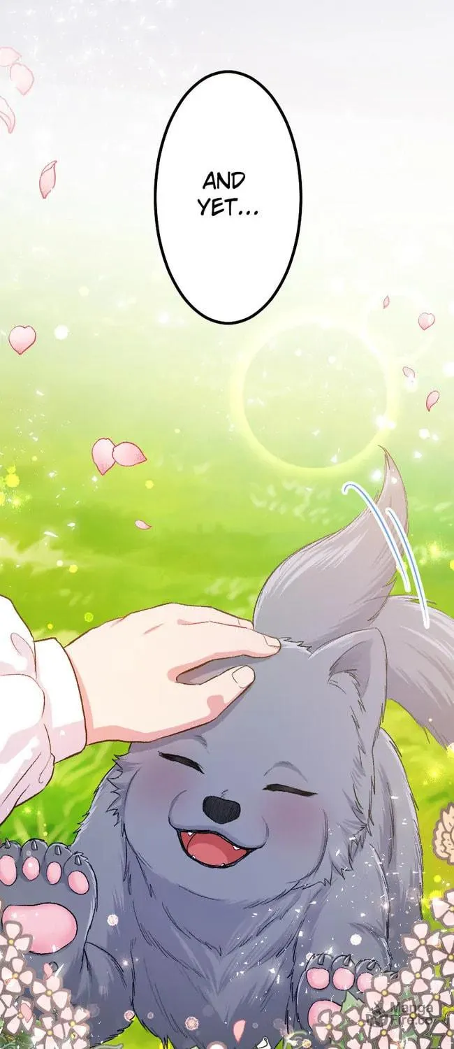 Sacrificed to Be the Beast King's Bride Chapter 15 page 55 - 