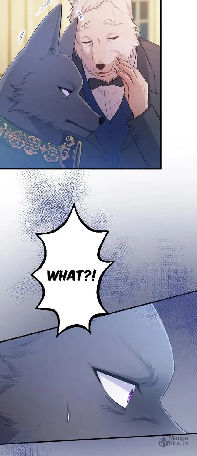 Sacrificed to Be the Beast King's Bride Chapter 16 page 25 - 