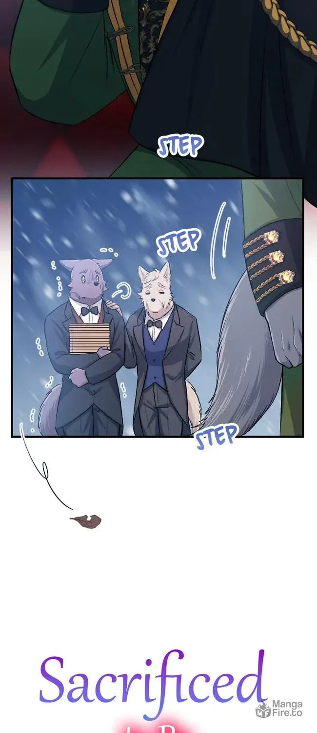 Sacrificed to Be the Beast King's Bride Chapter 16 page 9 - 