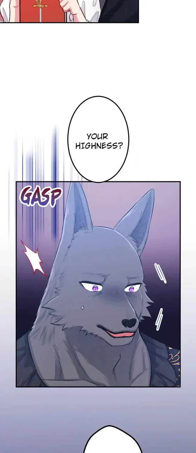 Sacrificed to Be the Beast King's Bride Chapter 19 page 44 - 