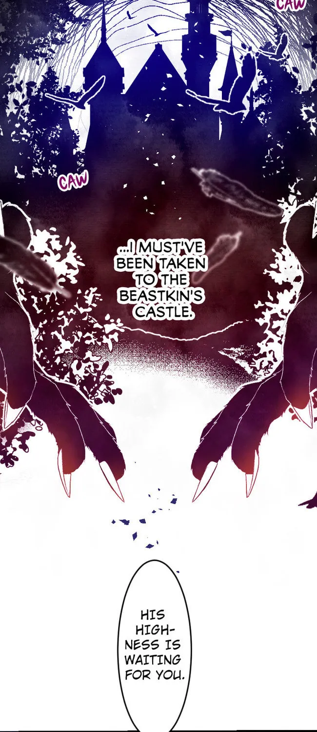 Sacrificed to Be the Beast King's Bride Chapter 2 page 14 - 