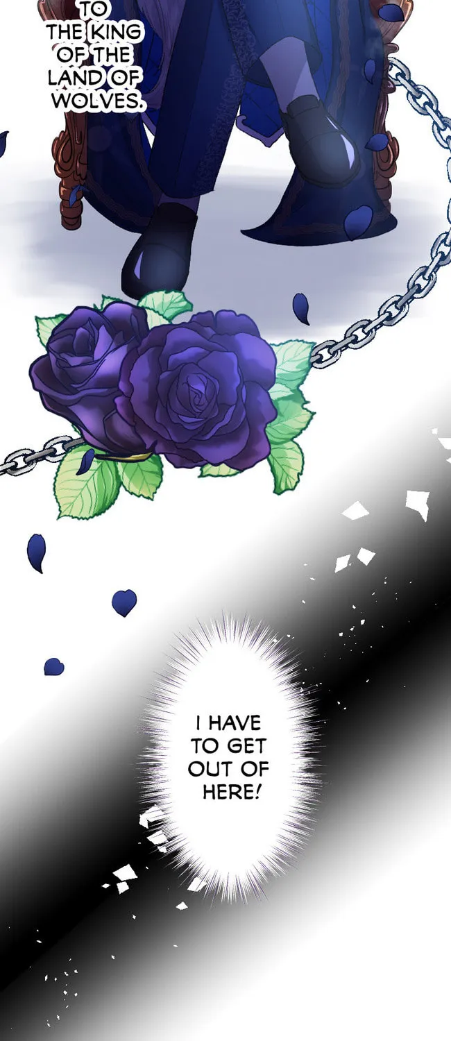 Sacrificed to Be the Beast King's Bride Chapter 2 page 17 - 