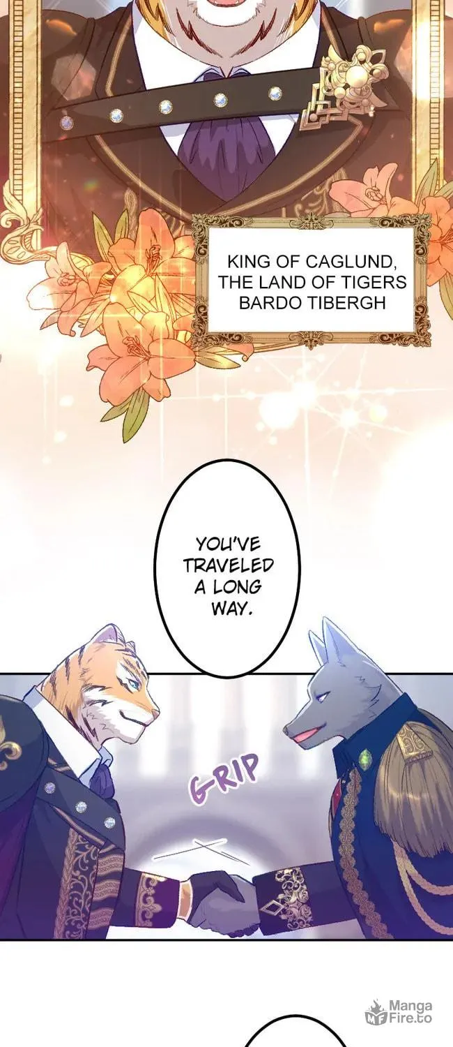 Sacrificed to Be the Beast King's Bride Chapter 20 page 36 - 