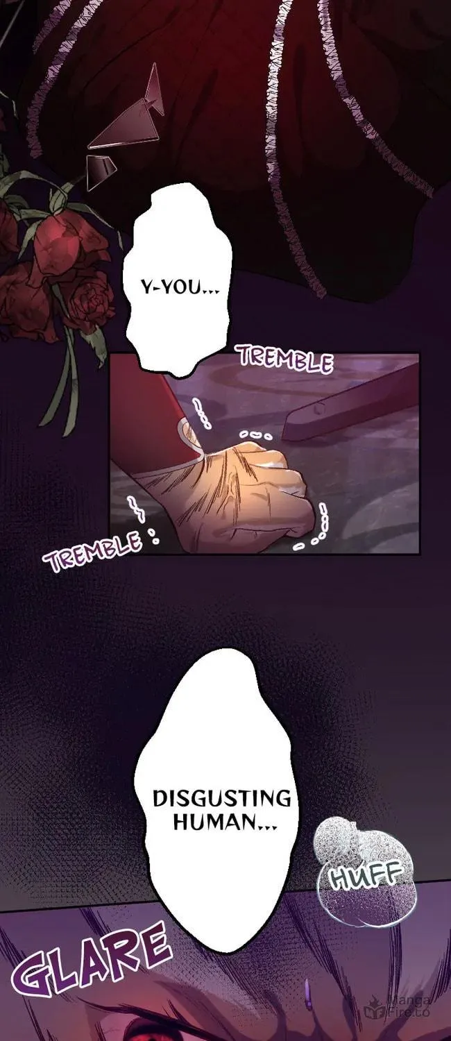 Sacrificed to Be the Beast King's Bride Chapter 21 page 40 - 