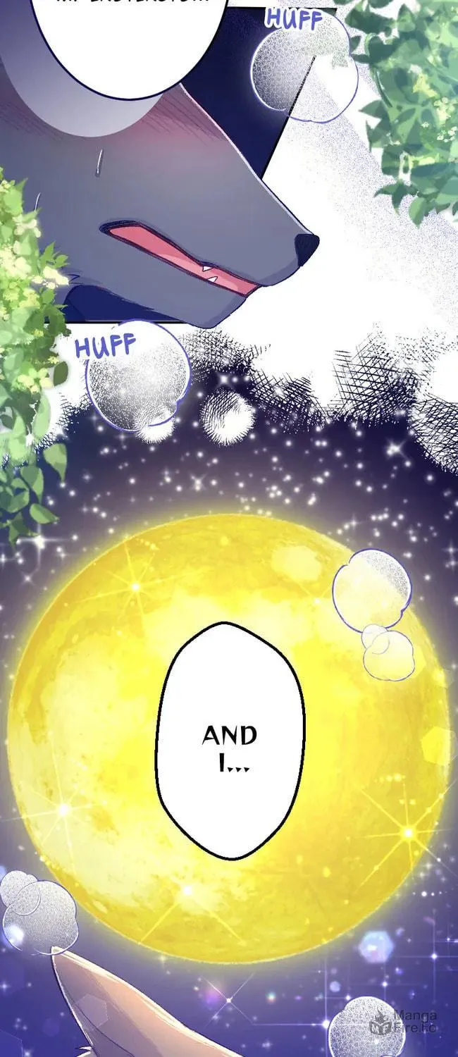 Sacrificed to Be the Beast King's Bride Chapter 21 page 63 - 