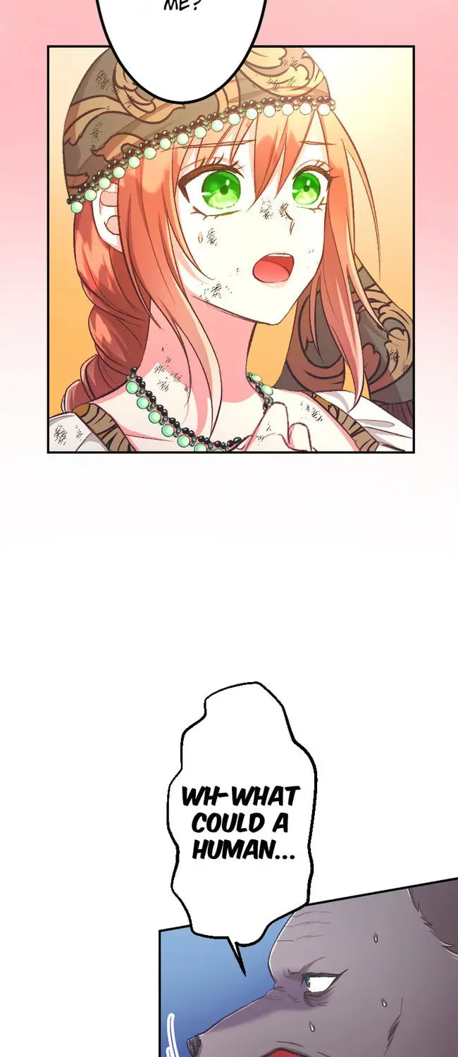 Sacrificed to Be the Beast King's Bride Chapter 25 page 17 - 