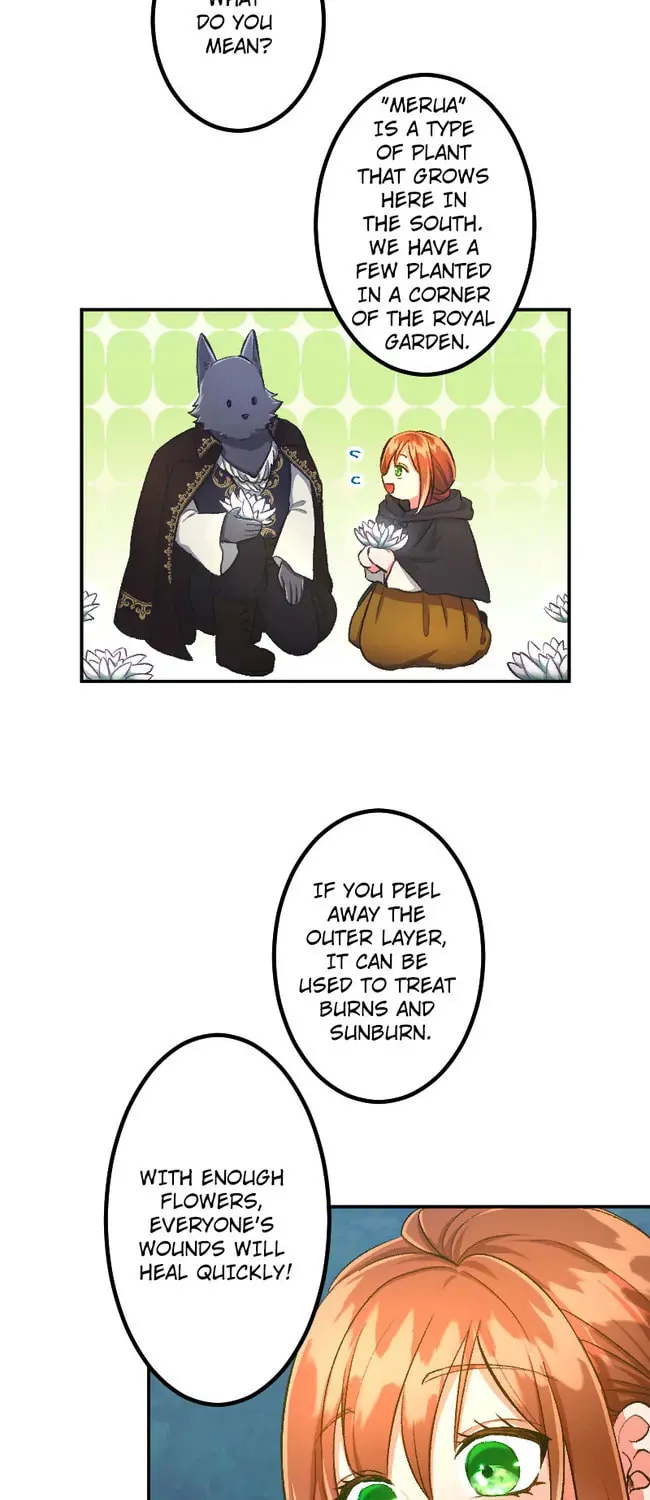 Sacrificed to Be the Beast King's Bride Chapter 25 page 44 - 