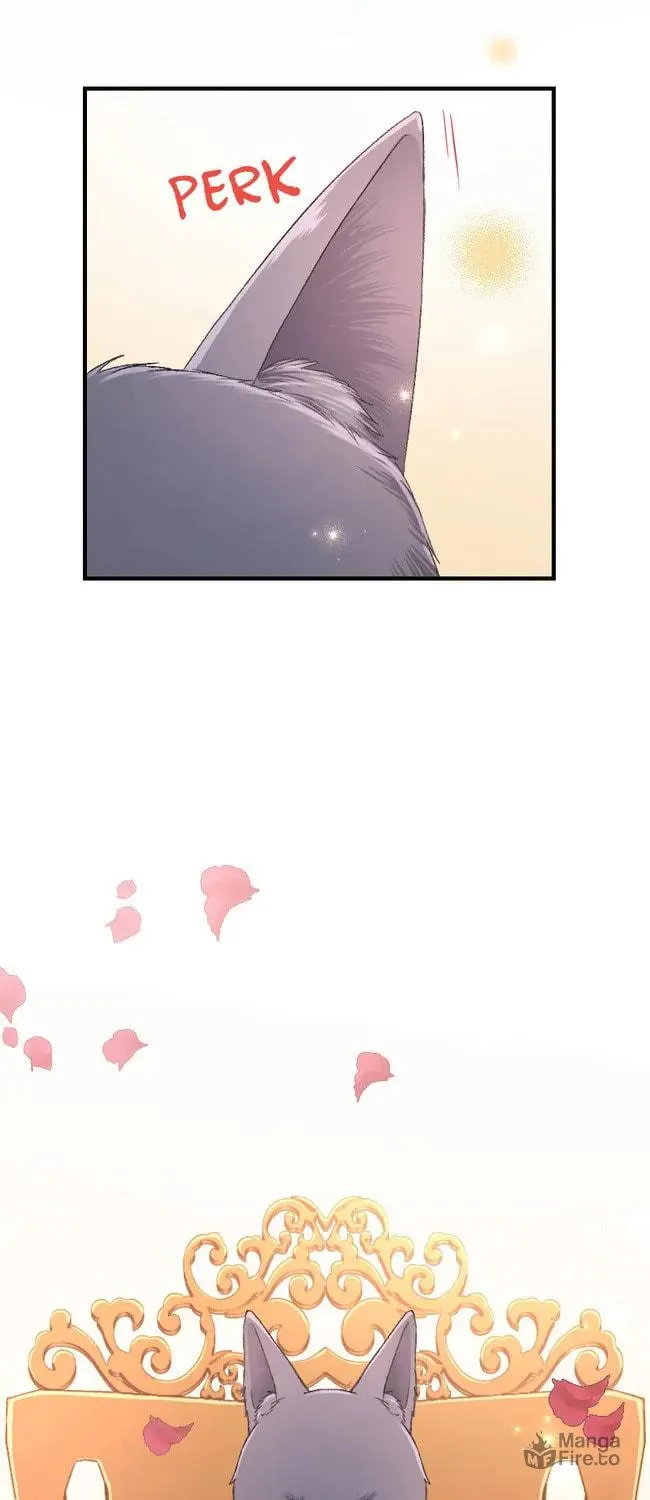 Sacrificed to Be the Beast King's Bride Chapter 3 page 5 - 
