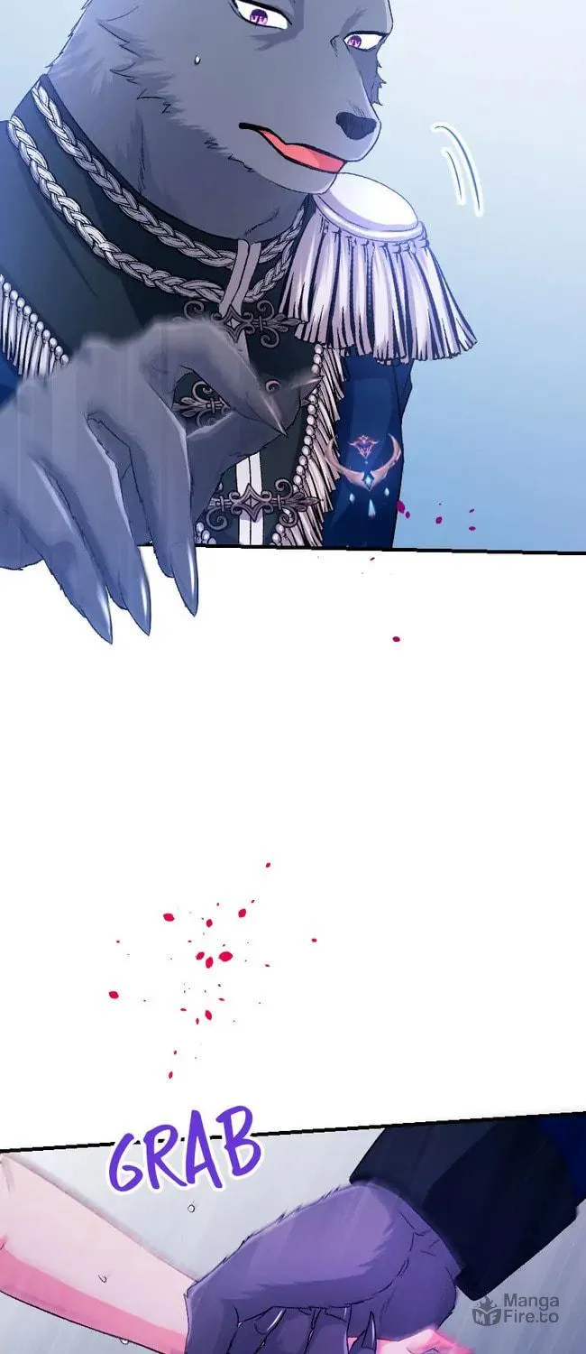 Sacrificed to Be the Beast King's Bride Chapter 3 page 42 - 