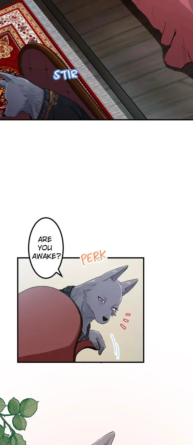 Sacrificed to Be the Beast King's Bride Chapter 5 page 46 - 