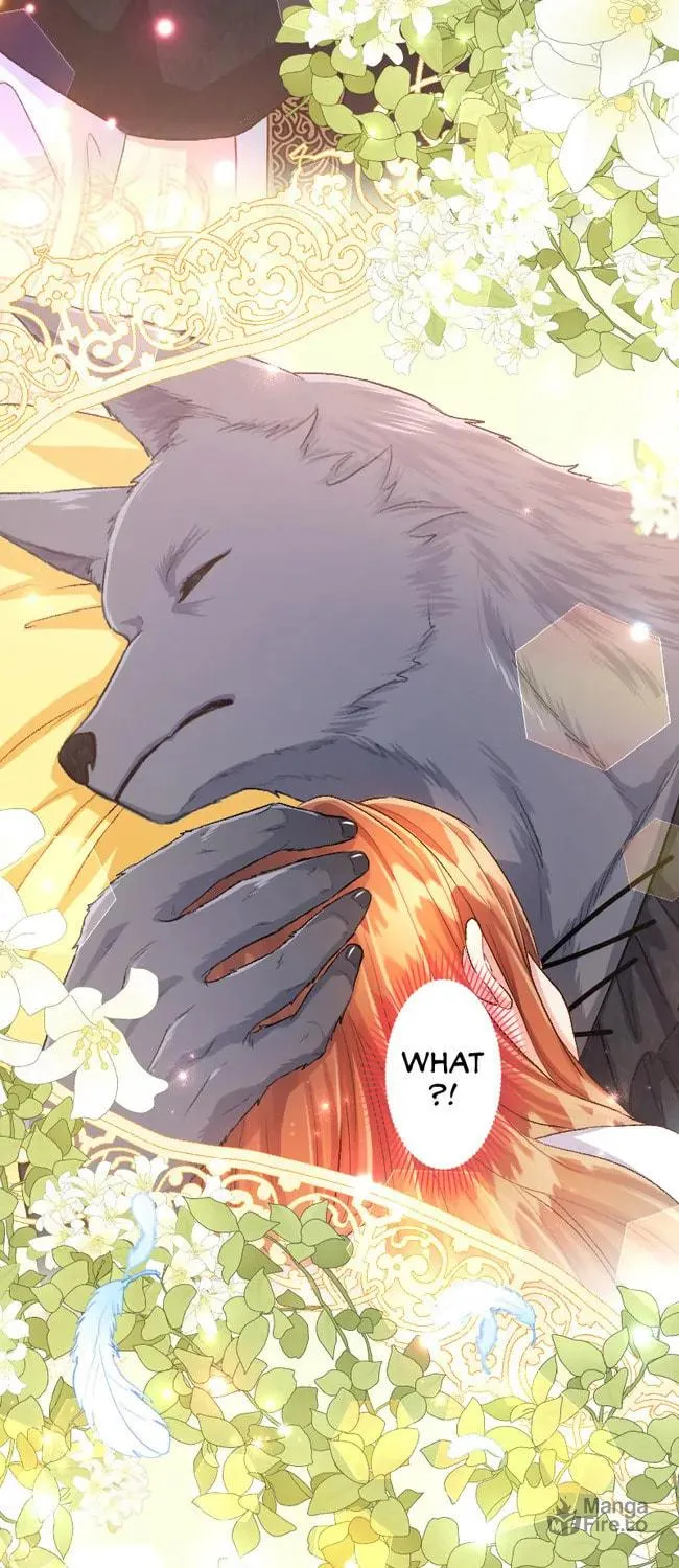 Sacrificed to Be the Beast King's Bride Chapter 7 page 3 - 