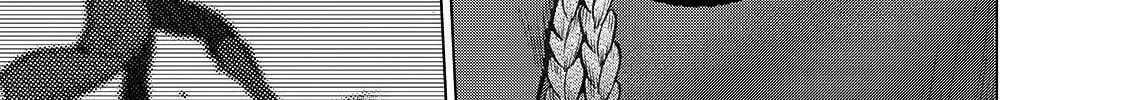 Read Saihate no Paladin chapter 21 image 35 on Lezhin