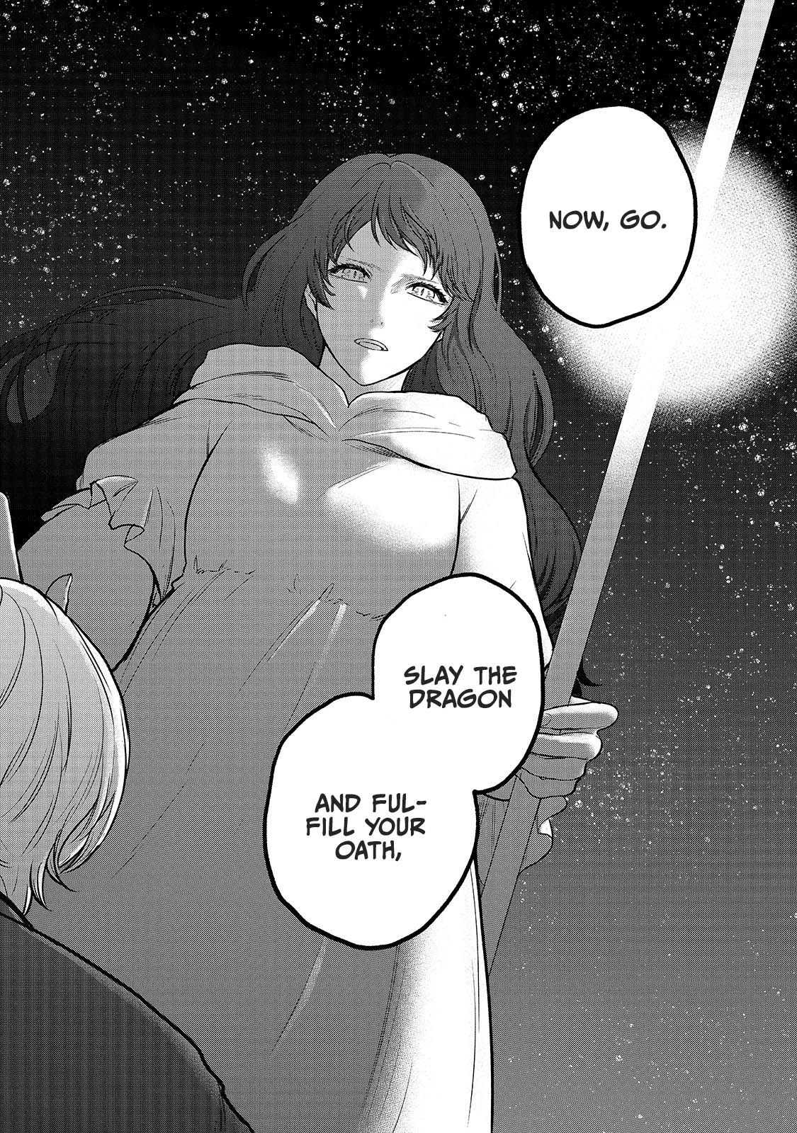 Read Saihate no Paladin chapter 39 image 24 on Lezhin