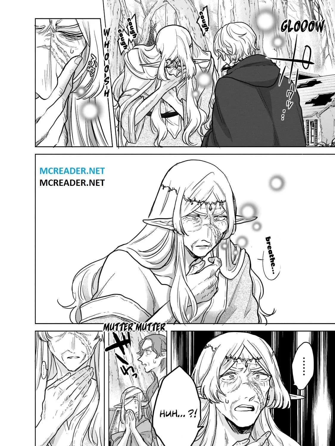 Read Saihate no Paladin chapter 47.1 image 11 on Lezhin