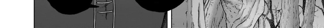 Read Saihate no Paladin chapter 47.2 image 12 on Lezhin