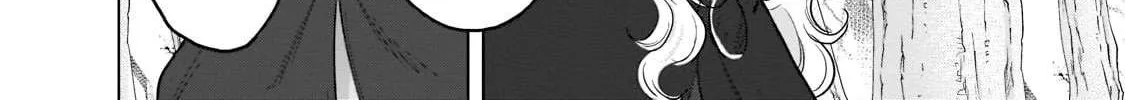 Read Saihate no Paladin chapter 48.2 image 12 on Lezhin