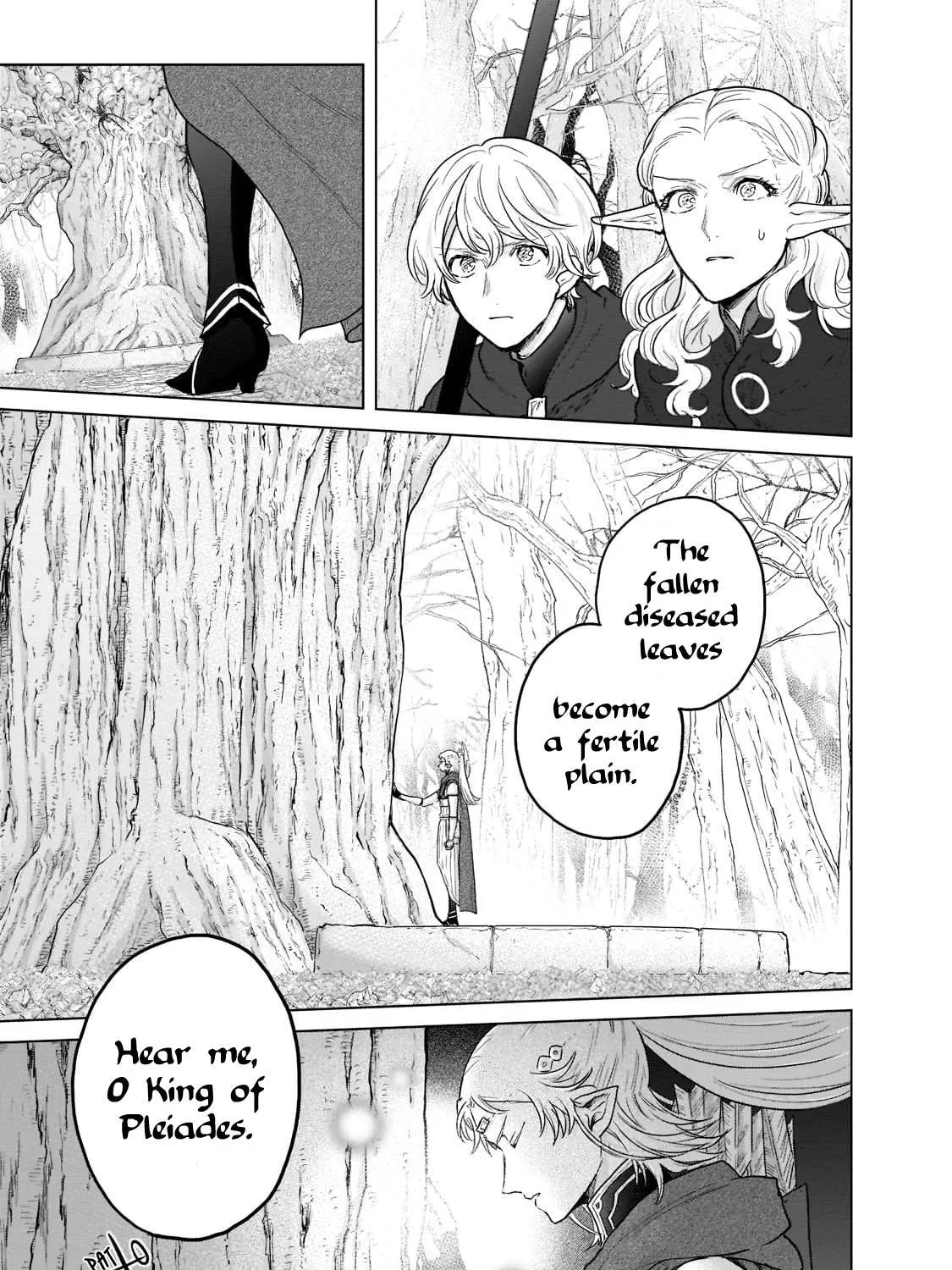 Read Saihate no Paladin chapter 48.3 image 3 on Lezhin