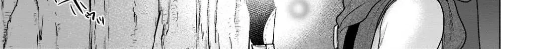 Read Saihate no Paladin chapter 48.3 image 4 on Lezhin