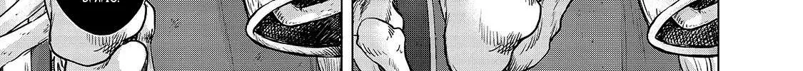 Read Saihate no Paladin chapter 50.2 image 10 on Lezhin