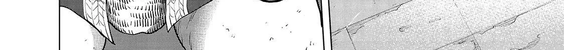 Read Saihate no Paladin chapter 52.3 image 6 on Lezhin