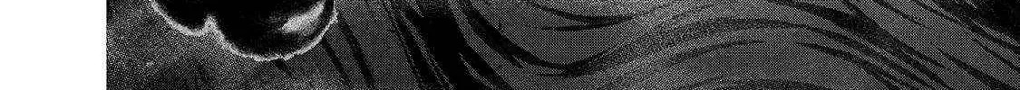 Read Saihate no Paladin chapter 56.1 image 23 on Lezhin