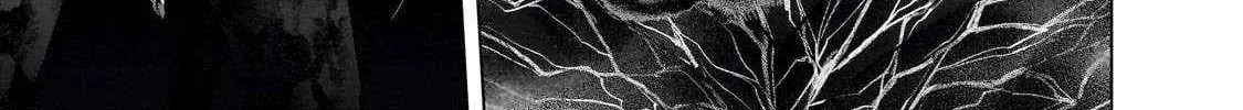 Read Saihate no Paladin chapter 59.2 image 18 on Lezhin