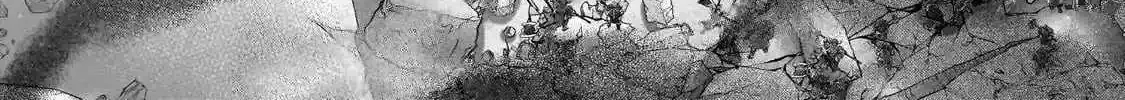 Read Saihate no Paladin chapter 62.4 image 12 on Lezhin