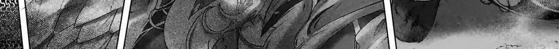 Read Saihate no Paladin chapter 62.4 image 14 on Lezhin