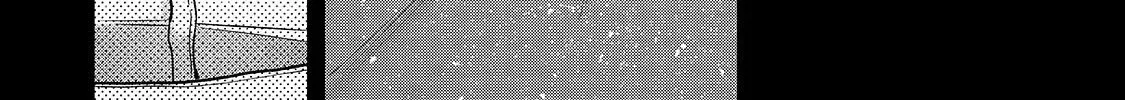 Read Saihate no Paladin chapter 68.3 image 19 on Lezhin
