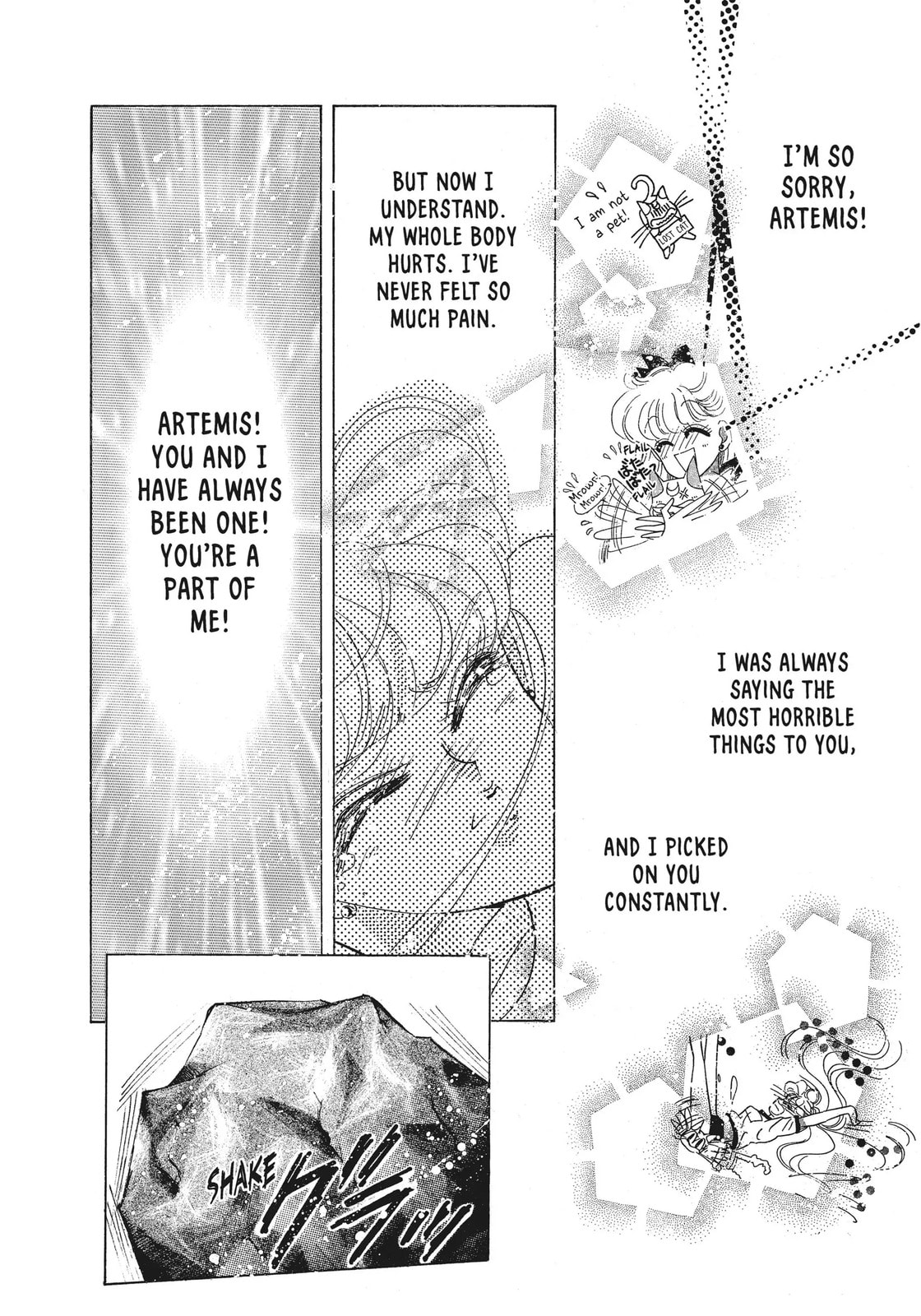 Read Sailor Moon (Colored) chapter 44 image 45 on Lezhin