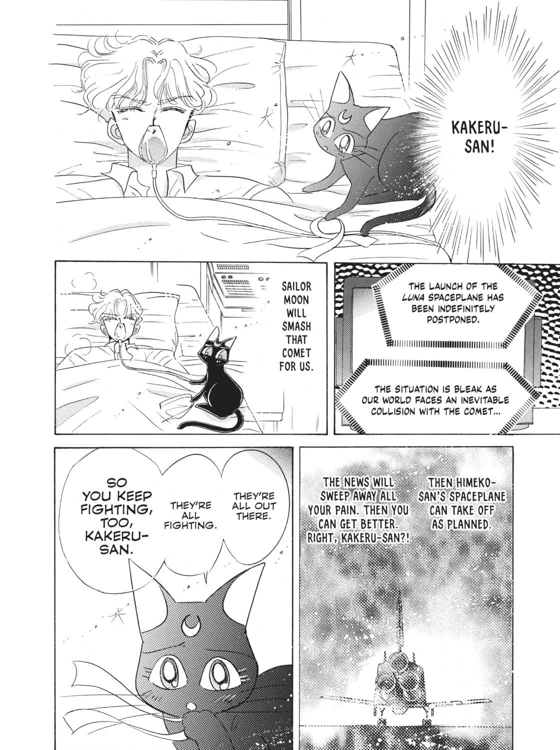 Read Sailor Moon Eternal Edition chapter 38.5 image 262 on Lezhin