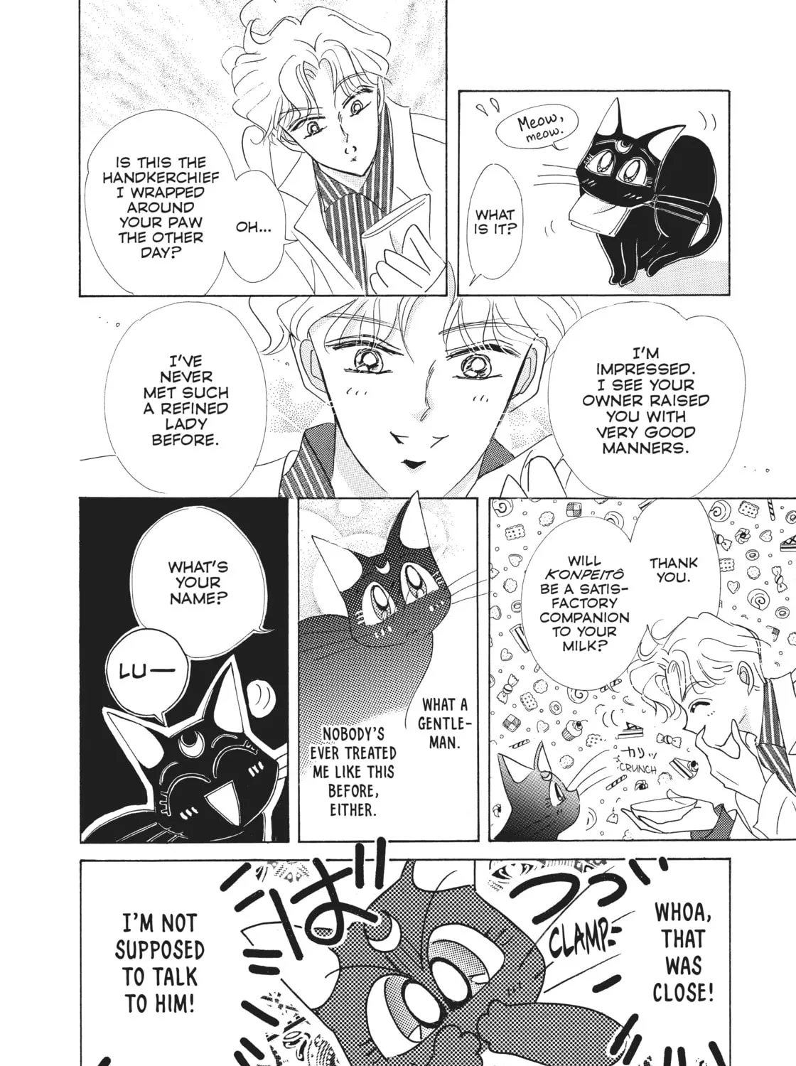 Read Sailor Moon Eternal Edition chapter 38.5 image 90 on Lezhin
