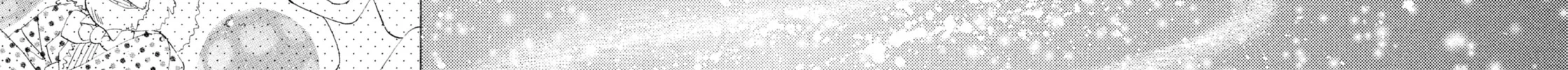 Read Sailor Moon Eternal Edition chapter 39 image 13 on Lezhin