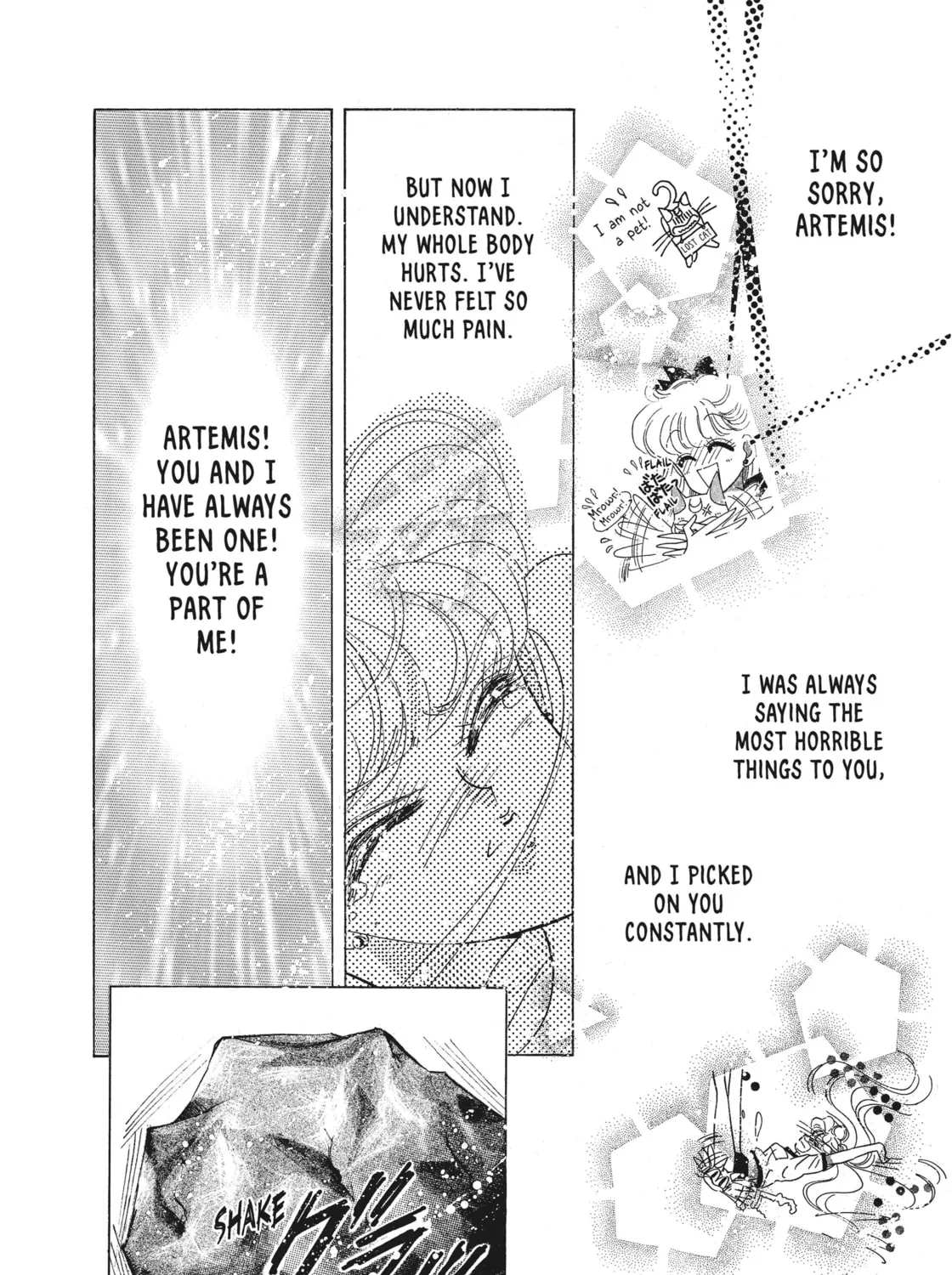 Read Sailor Moon Eternal Edition chapter 44 image 90 on Lezhin