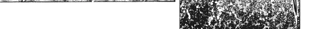 Read Sailor Moon Eternal Edition chapter 48 image 7 on Lezhin