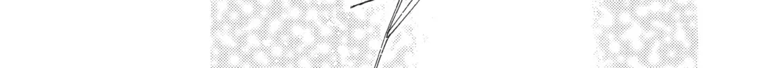 Read Sailor Moon Eternal Edition chapter 51 image 85 on Lezhin