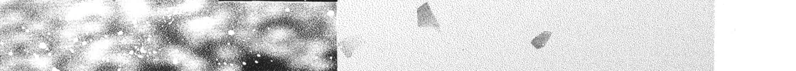 Read Sailor Moon Eternal Edition chapter 53 image 75 on Lezhin