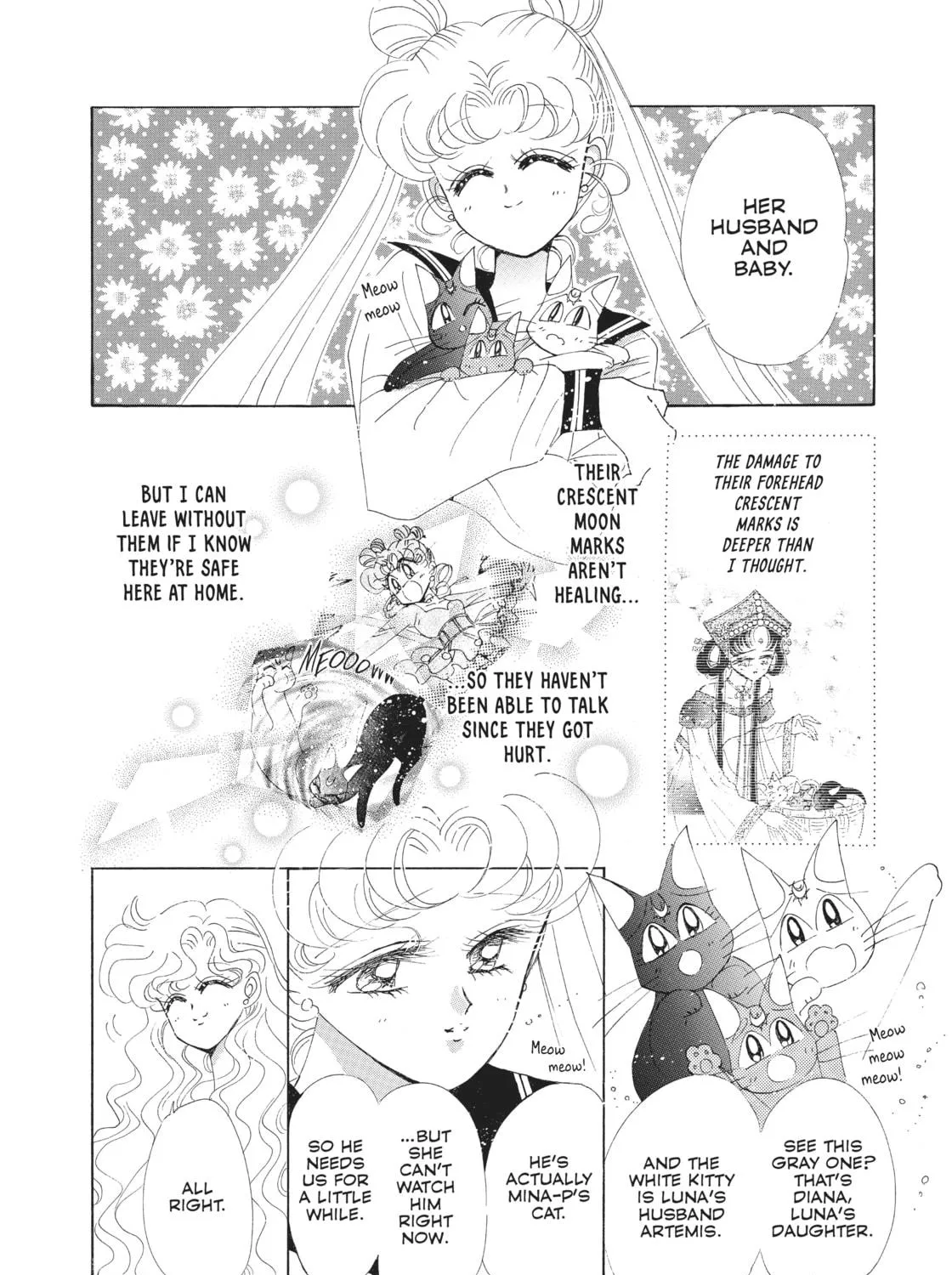 Read Sailor Moon Eternal Edition chapter 55 image 46 on Lezhin